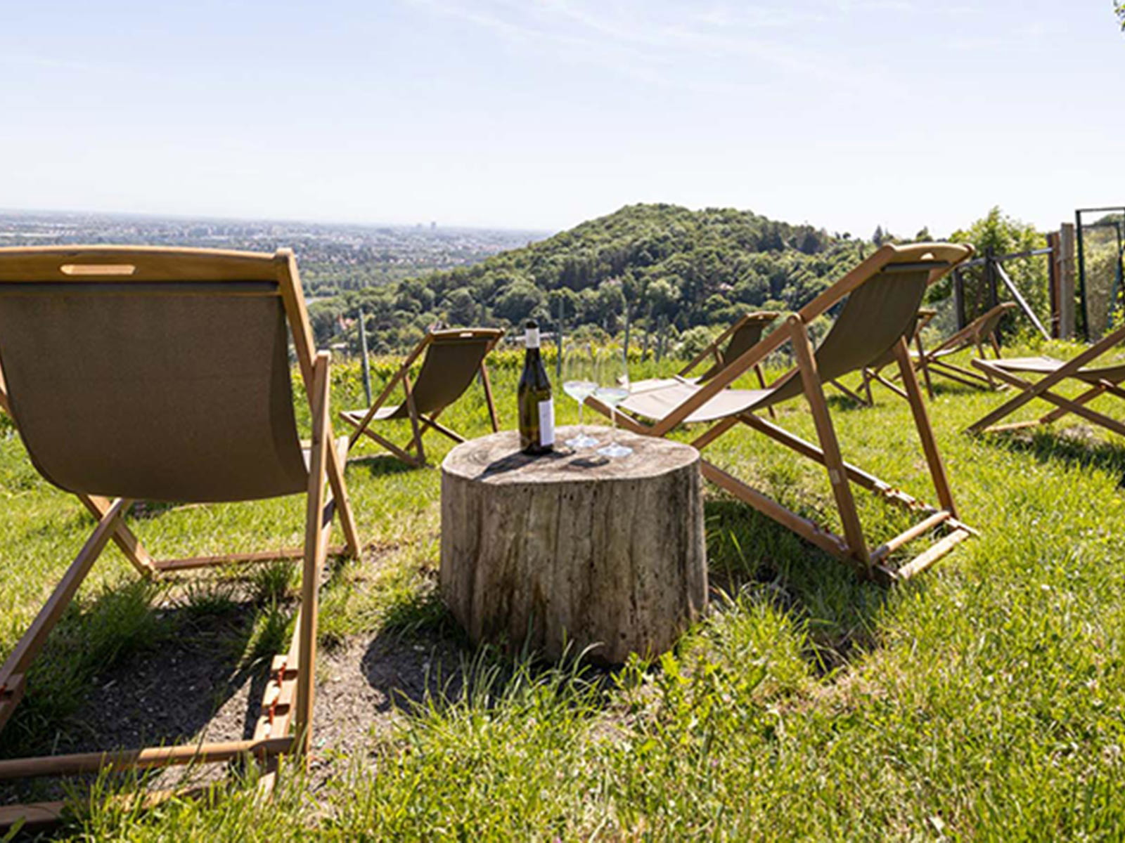 Im Heurigenn am Wiener Nussberg kann man Wein in Liegestühlen genießen.&nbsp;