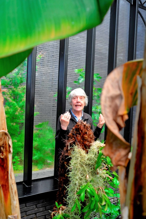 Lesley Gracie at the greenhouse
