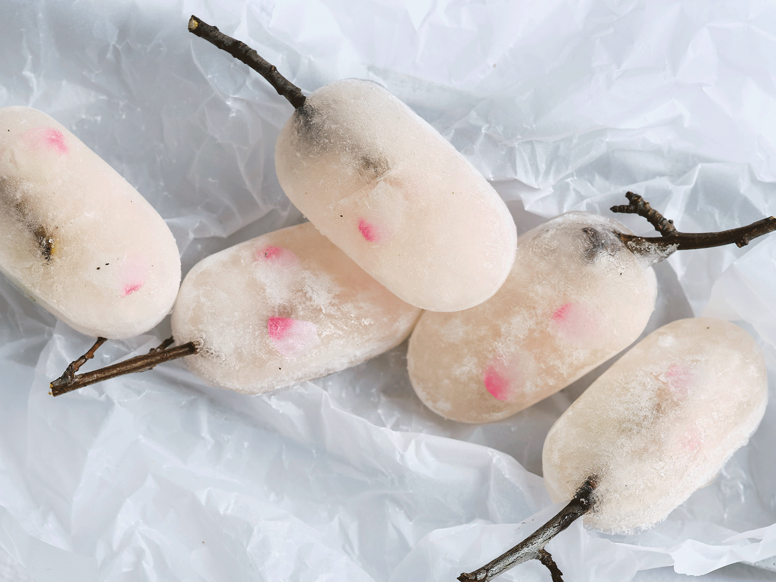 Das Kirschblüteneis wird aus duftigem Weißwein und rosa Kirschblüten gemacht.