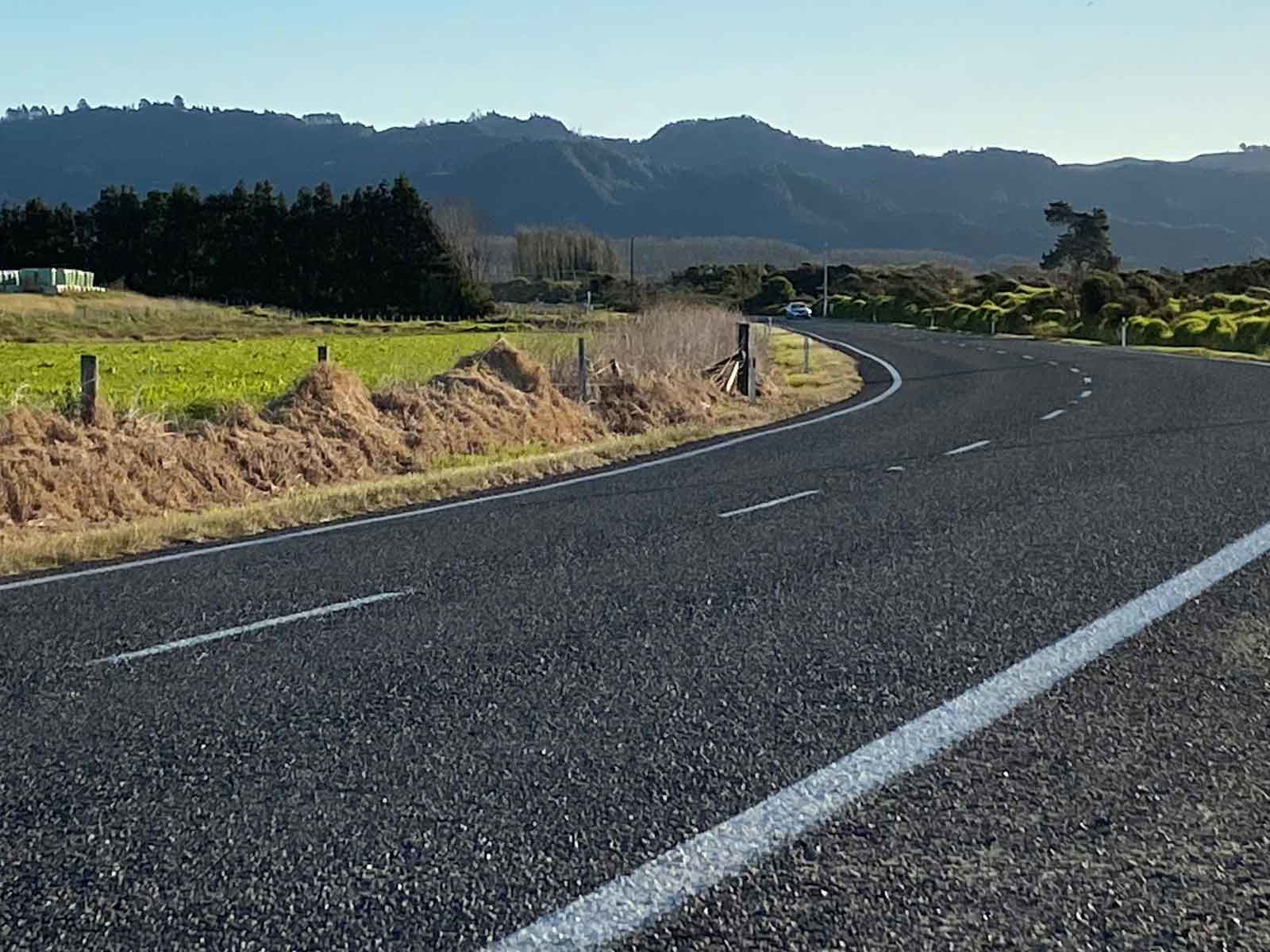 Rex Pickett hits the road in New Zealand.