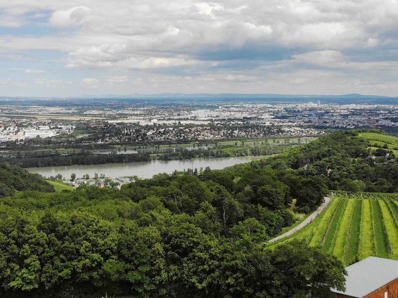 Das Weingut Wailand wurde für die beste Aussicht ausgezeichnet.