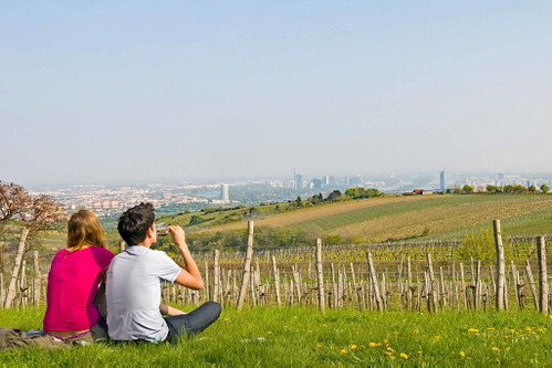 Weingut und Buschenschank Wailand gewinnt in der Kategorie »Schönste Aussicht«.