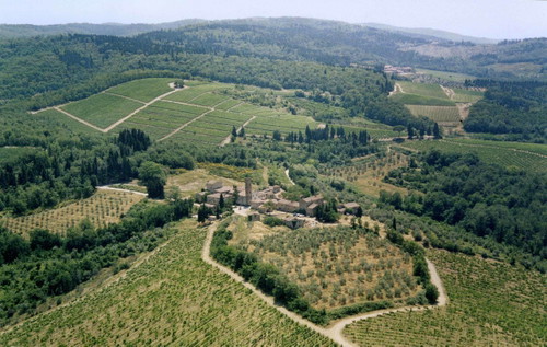 Das Weingut Isole e Olena