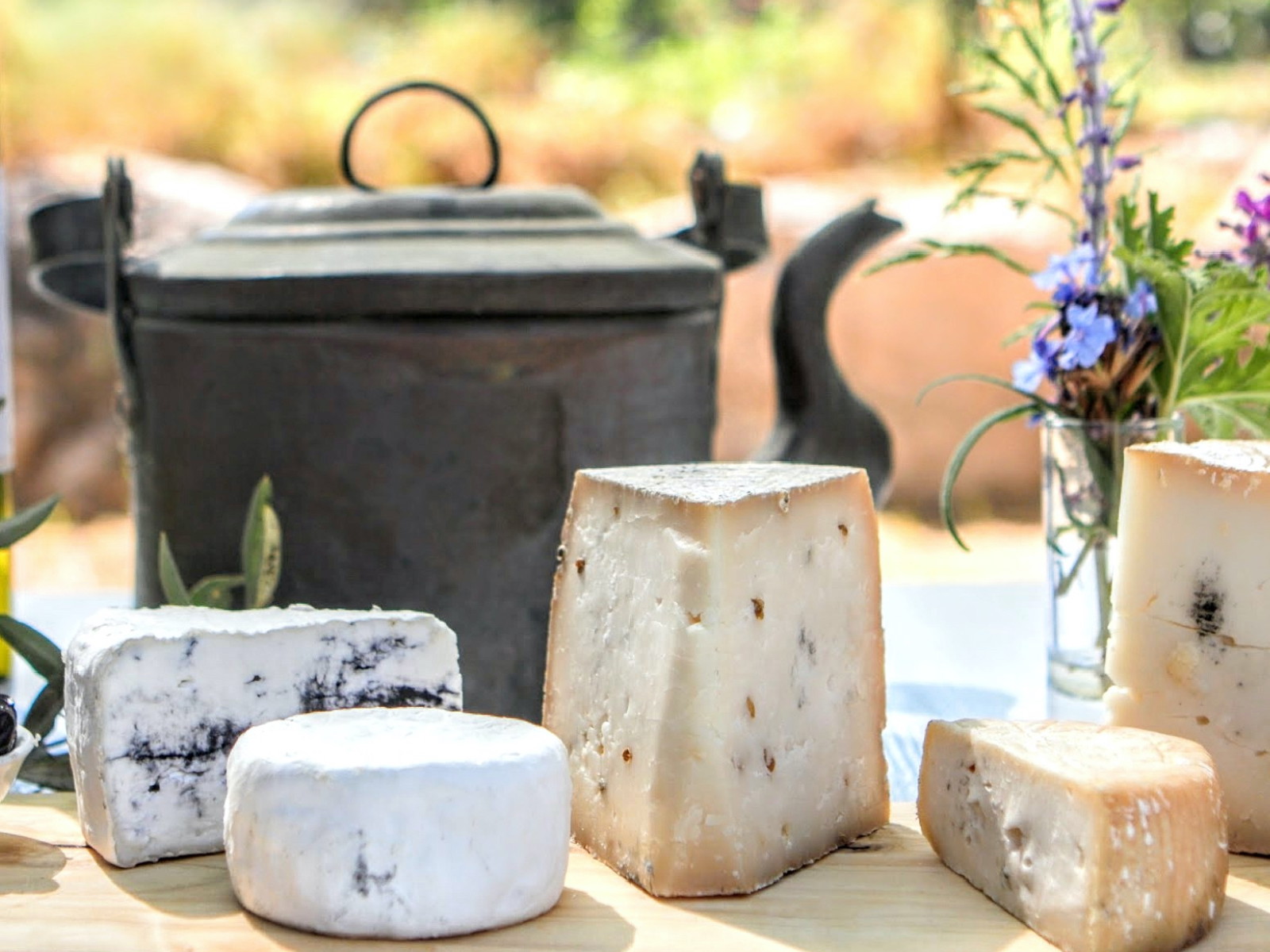 Goat's Cheeses