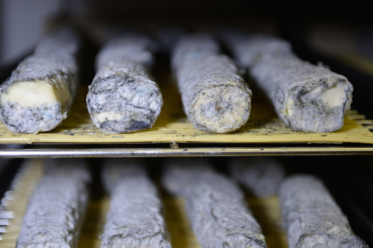 Mature, mould-ripened goat’s cheeses.