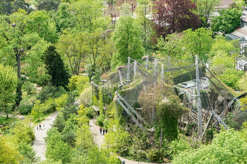Ein Ausflug in den Zoo Basel ist immer ein Erlebnis. Wer Lust hat, kann sich auch zum Picknick niederlassen – was am gesamten Gelände erlaubt ist.