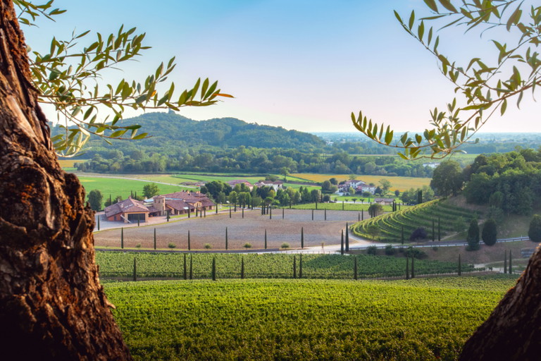 Die Kellerei in Ruttars&nbsp;im Herzen des Collio ist heute das Betriebszentrum von Jermann.
