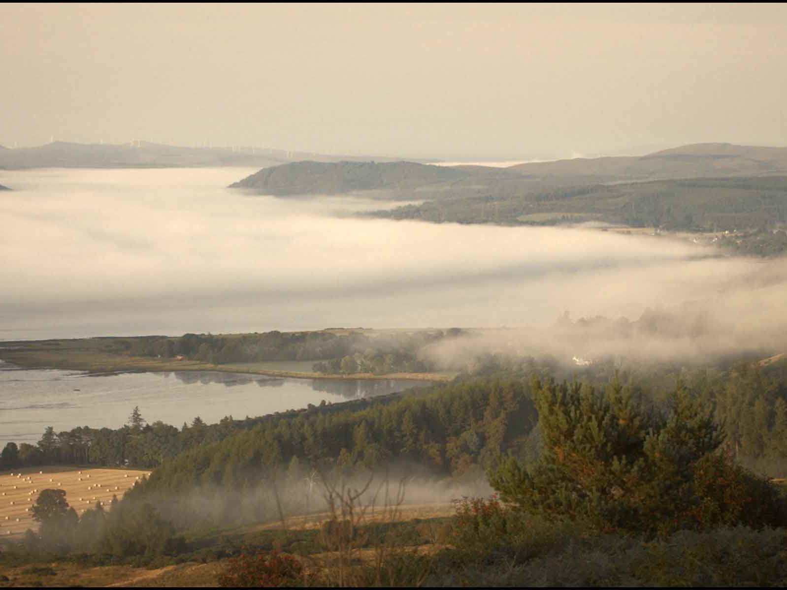 The misty landscape surrounding the Balblair Distillery.&nbsp;