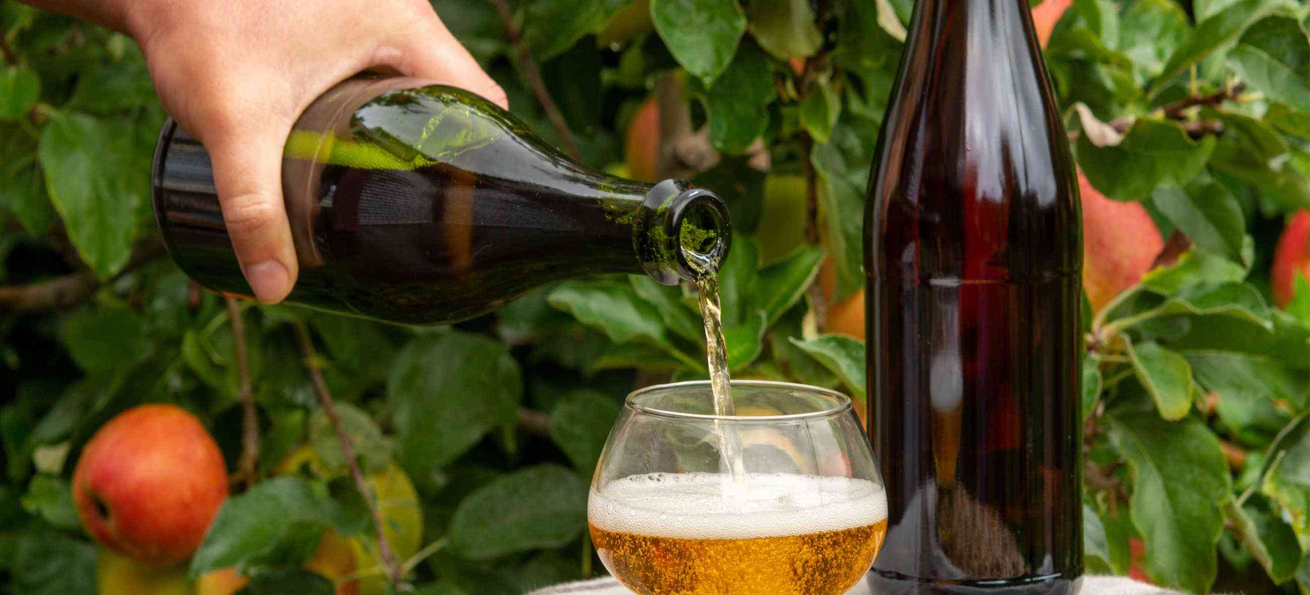 Cider, Cidre, Sidra: The Six Best Cider Regions - Falstaff