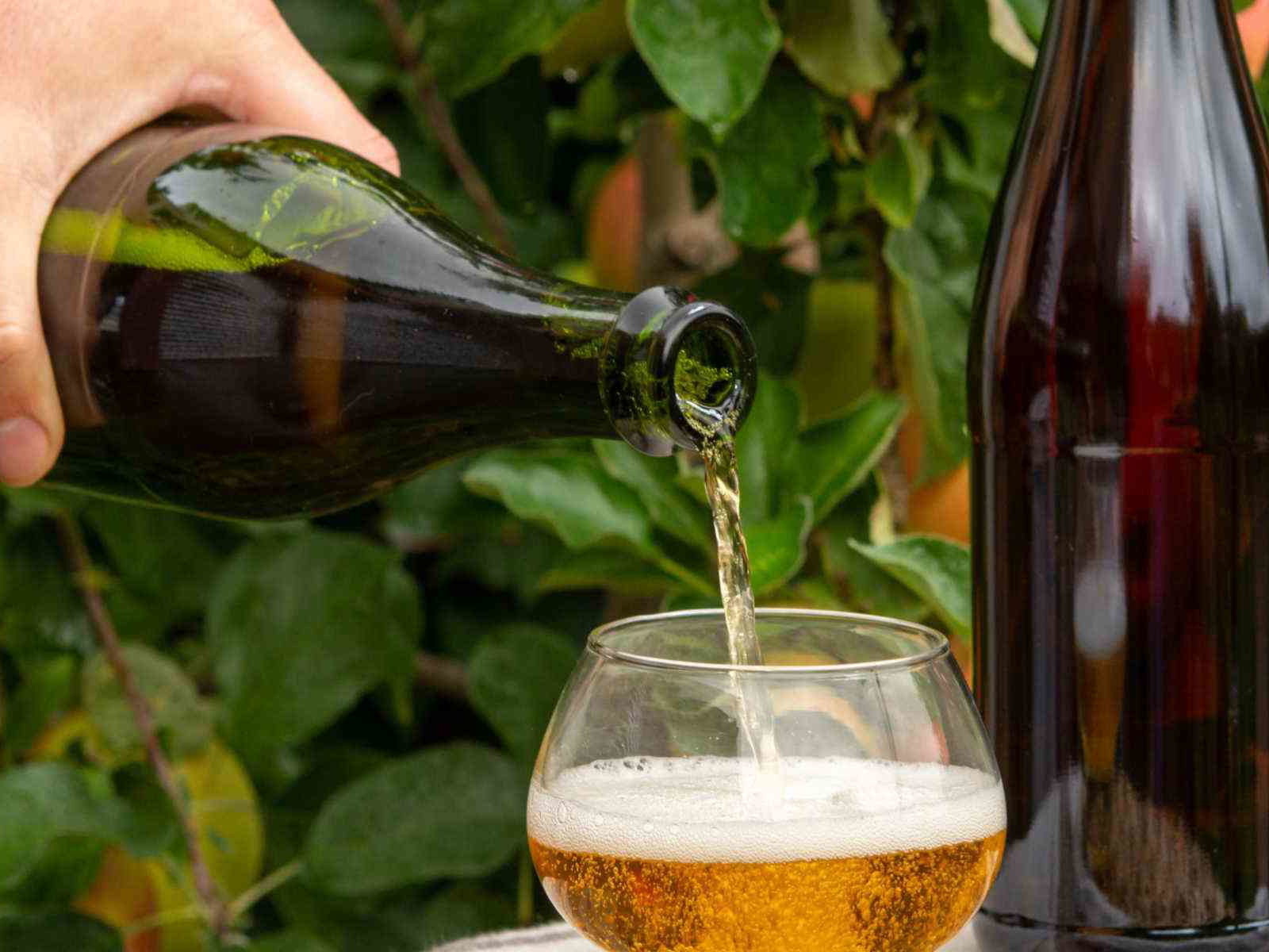 Freshly poured apple cider.