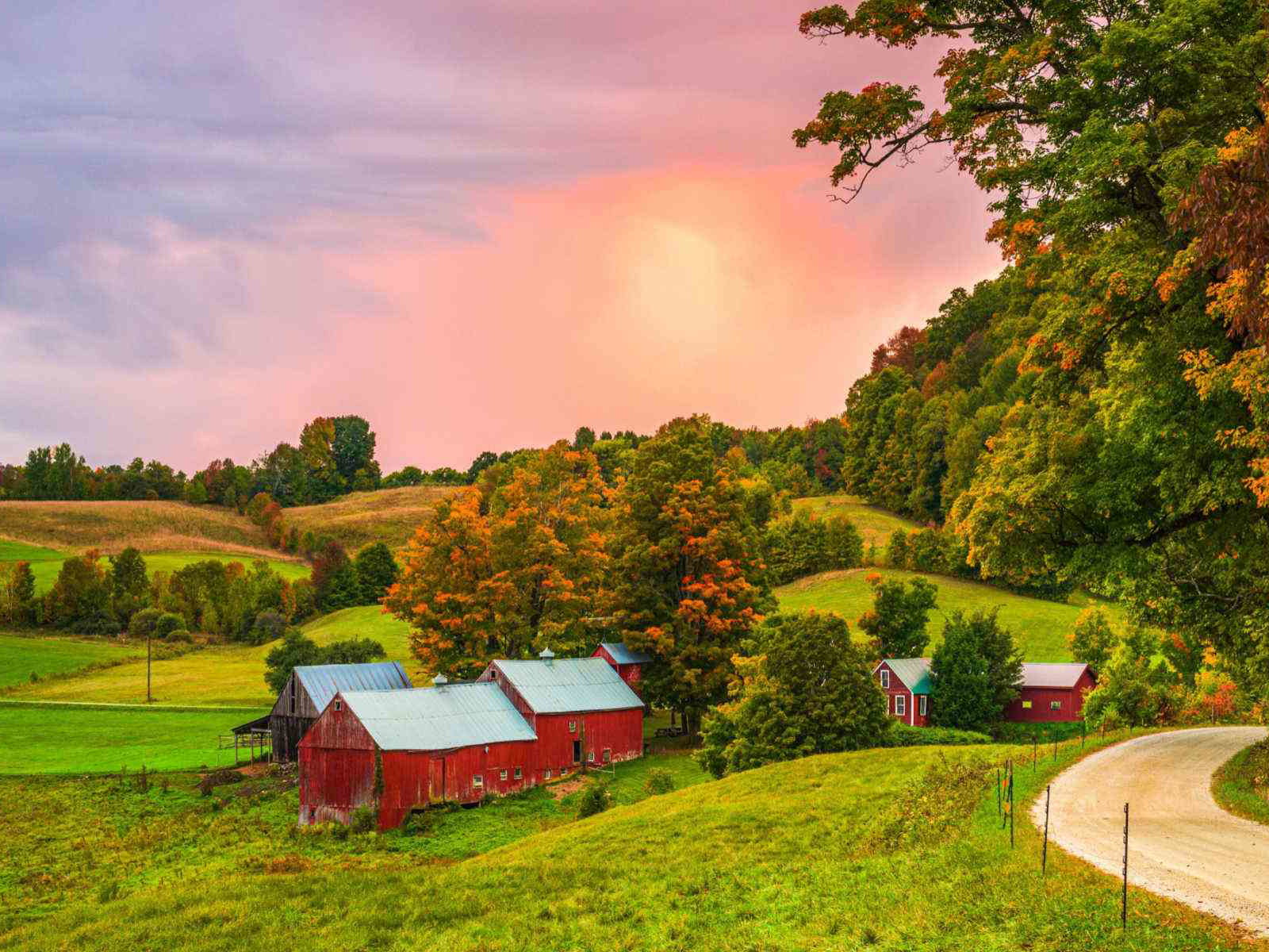 Dairy Fam in Vermont.