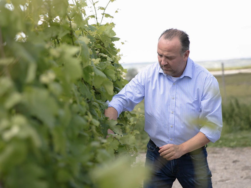 Gerhard Kracher, owner of the estate located in Illmitz, in the heart of Burgenland in Austria.