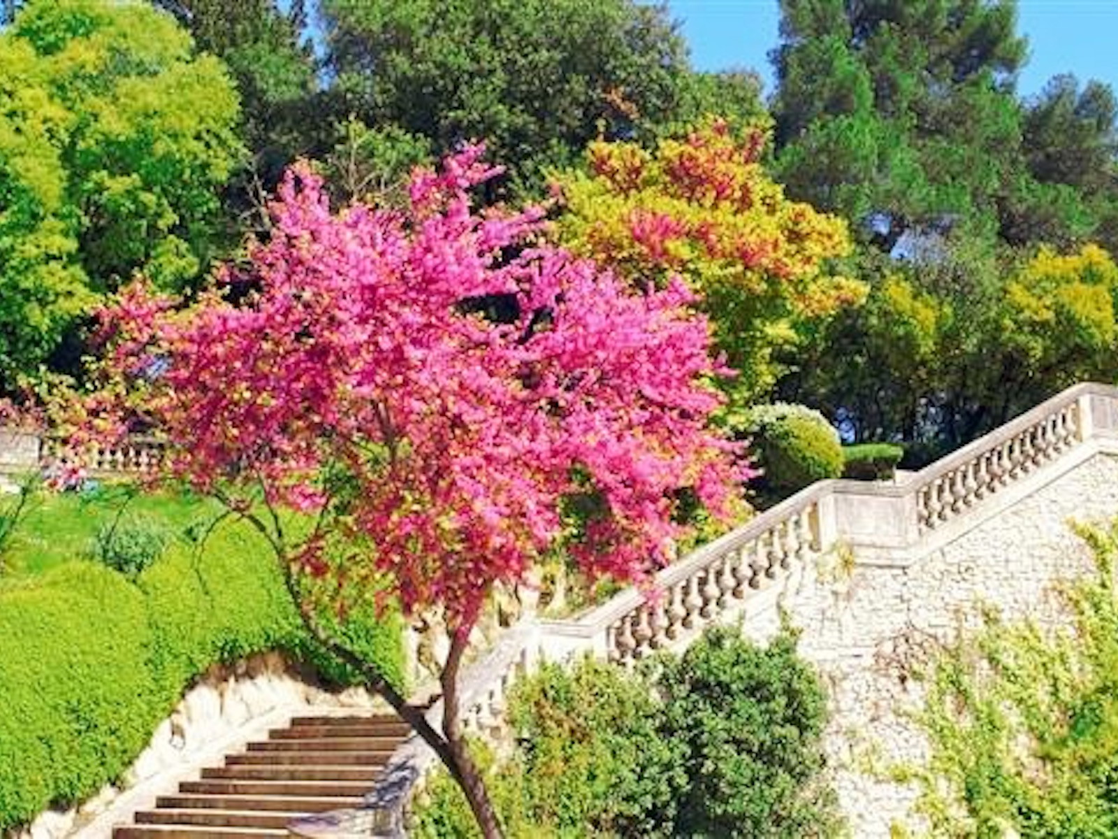 The Gardens of the Fountain in Nîmes&nbsp;are considered to be among the very first public gardens in Europe.&nbsp;