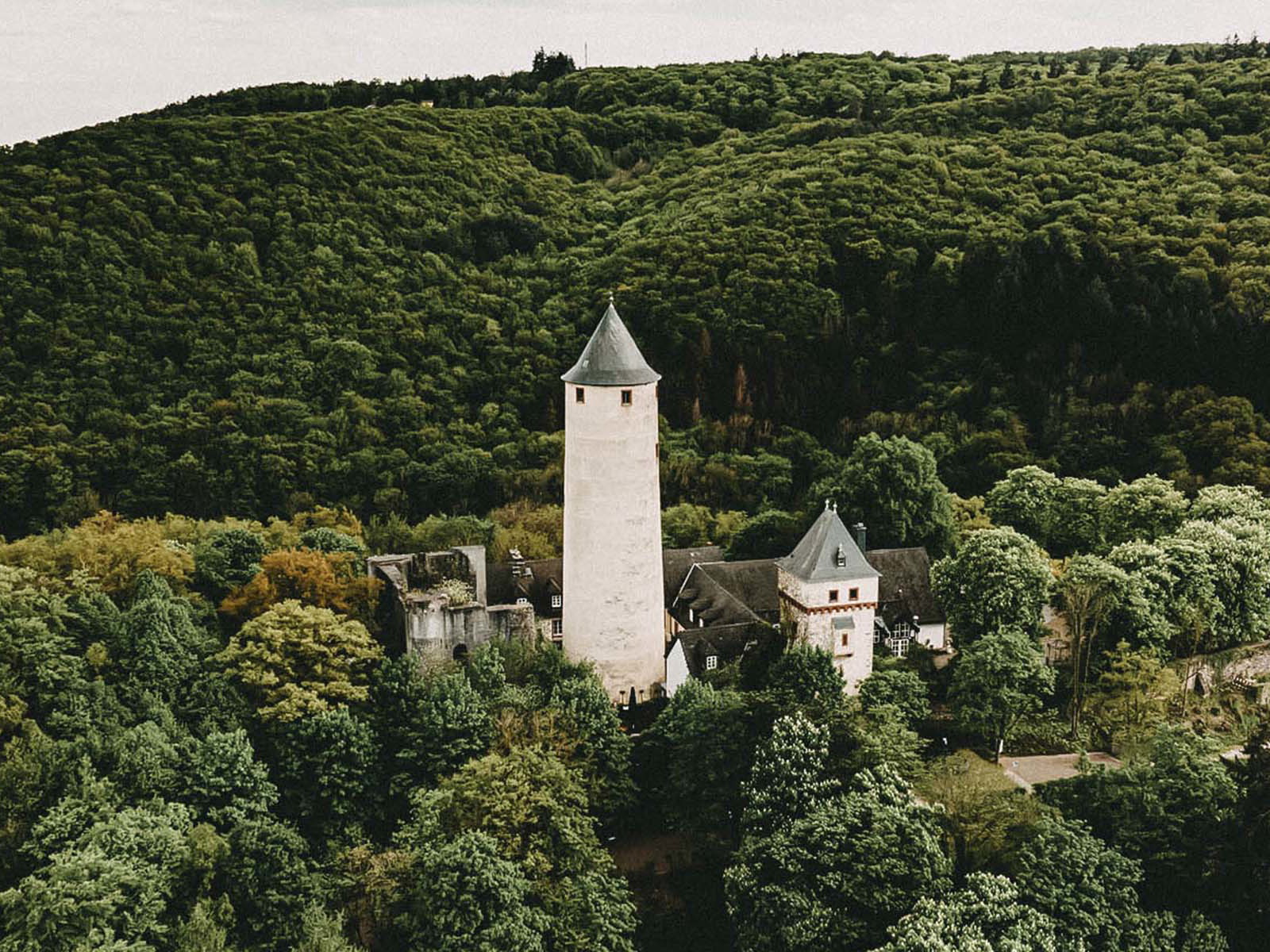Die Stromburg&nbsp;am Rande des Soonwalds.