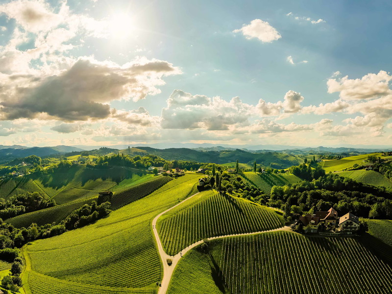 Weinberge Panorama Leibnitz