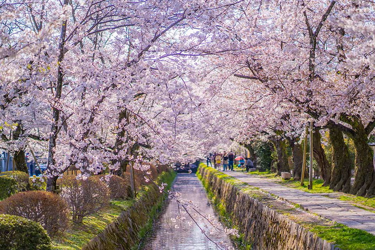 «Philosophers Walk» in Kyôto, Japan.