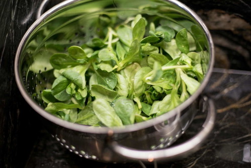 Vogerlsalat