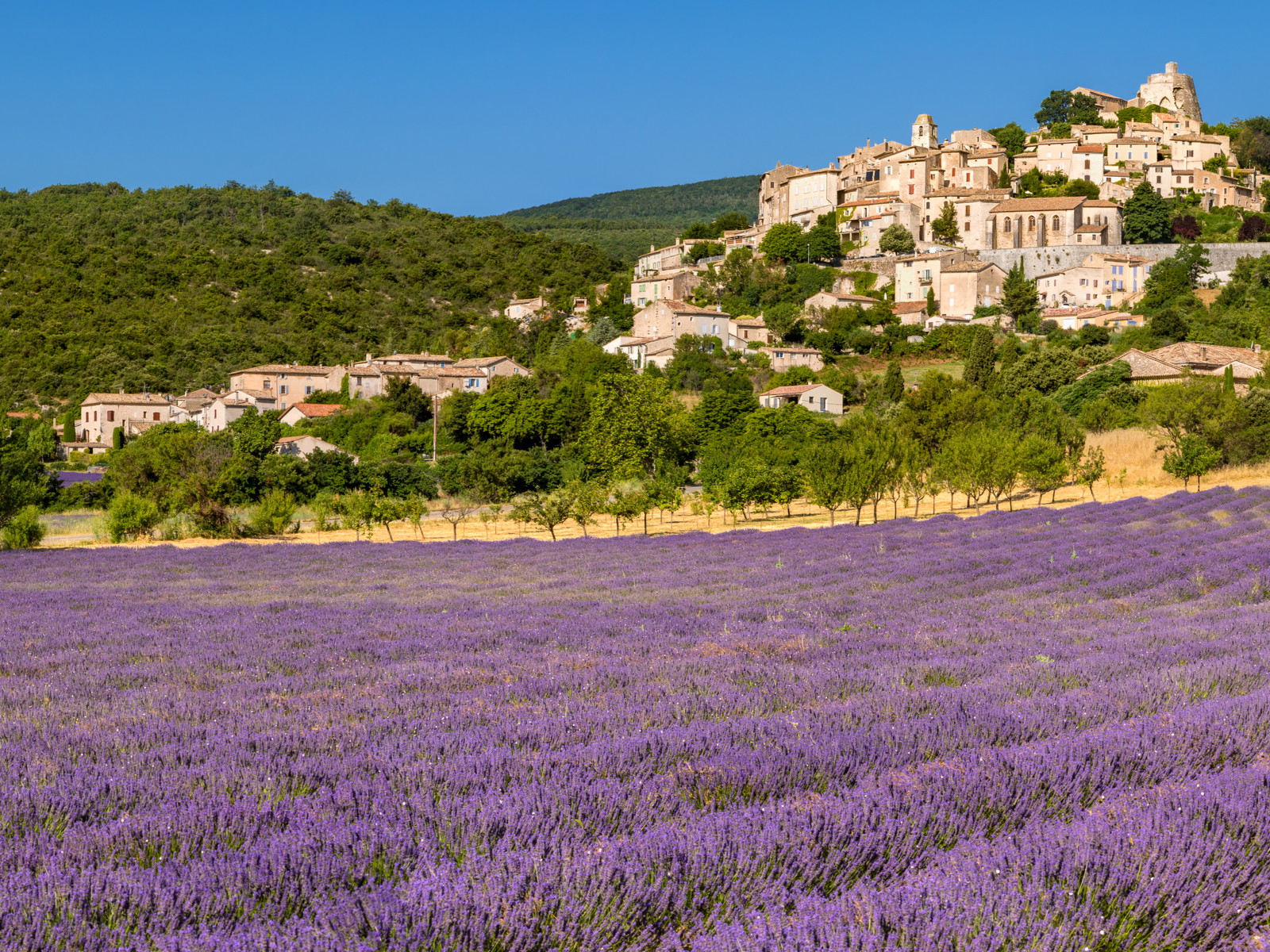 The hills above&nbsp;Simiane-la-Rotonde in Provence.