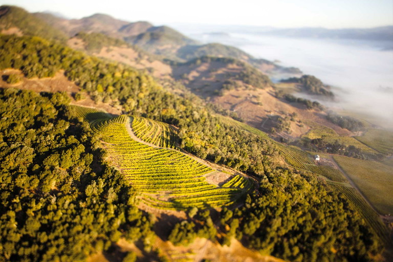 Napa Valley