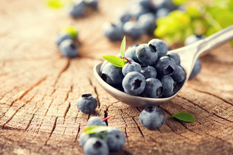 Sowohl pur als auch in in Gerichten verarbeitet, sind Heidelbeeren ein Genuss.&nbsp;