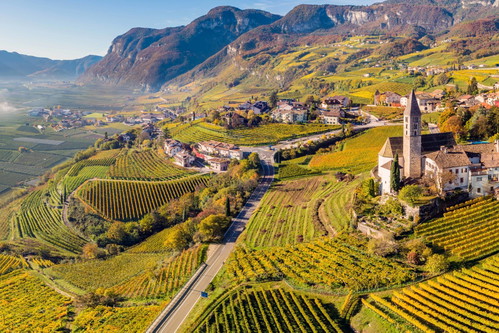 Die Weinberge der Kellerei Cantina Kurtatsch