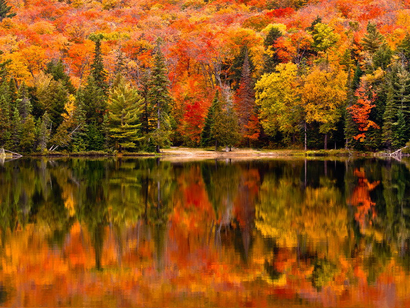 Algonquin Park, Ontario, is a perfect place for leaf-peeping.