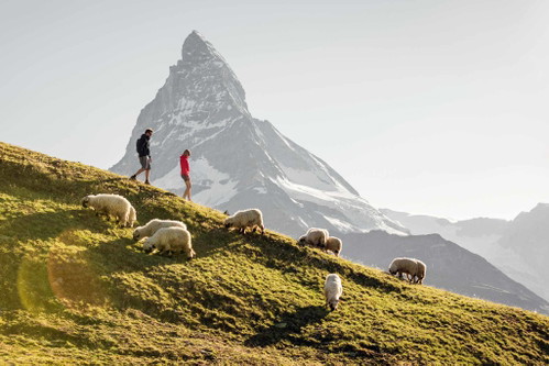 Wandern gehört bei einem Trip nach Zermatt zum Pflichtprogramm.&nbsp;