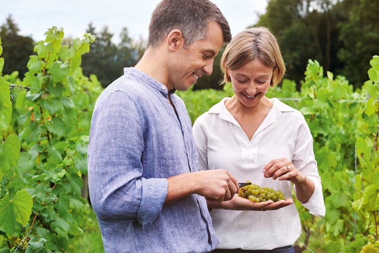 Nyetimber ist der größte Schaumweinhersteller Englands. Roederer ist seit 1982 in den USA aktiv.