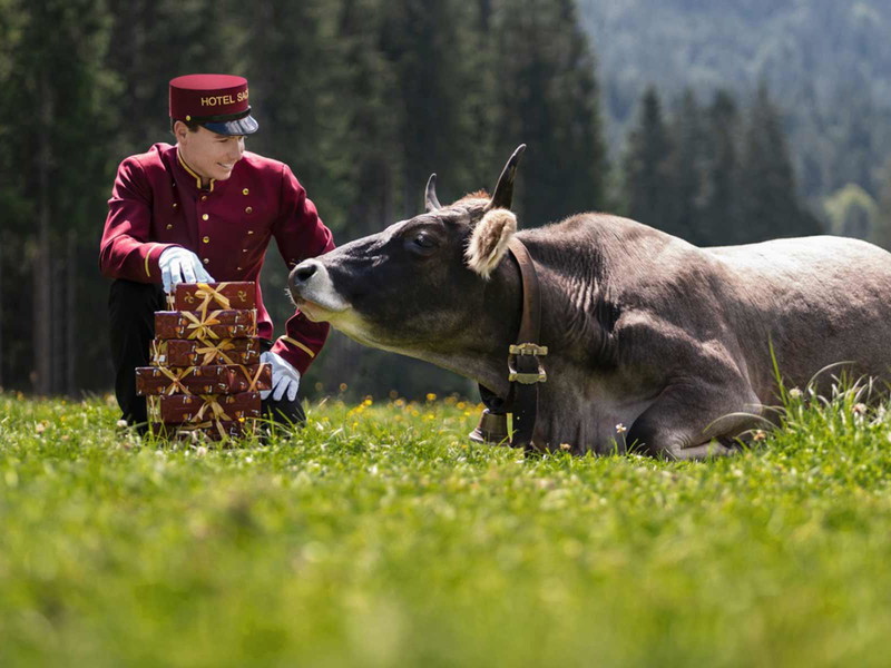 Das »Sacher« gibt es bald auch in idyllischer Bergatmosphäre.