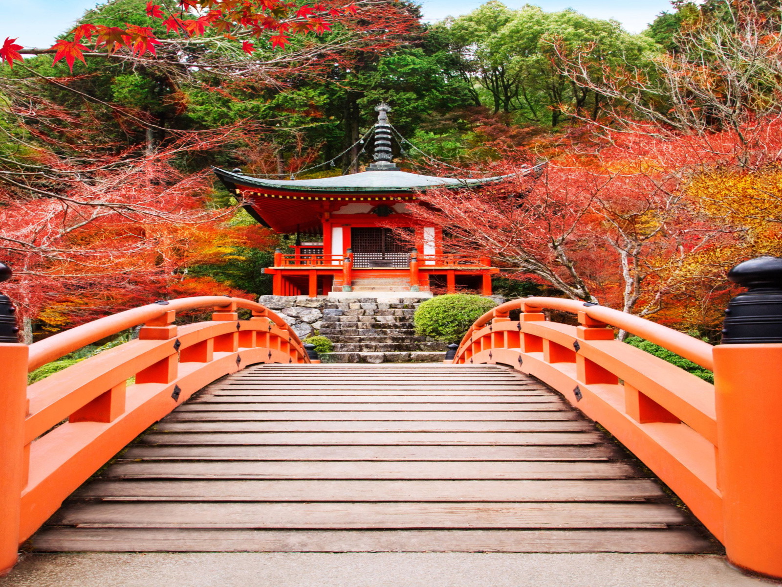 Japan is aiming fully reopen the country to international tourism this autumn
