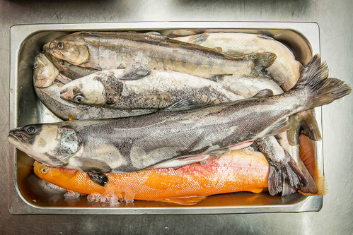 Best of Alpen Adria. Am Benediktinermarkt treffen sich Köstlichkeiten aus den Alpen mit denen von der Adria, feinste Fische inklusive.