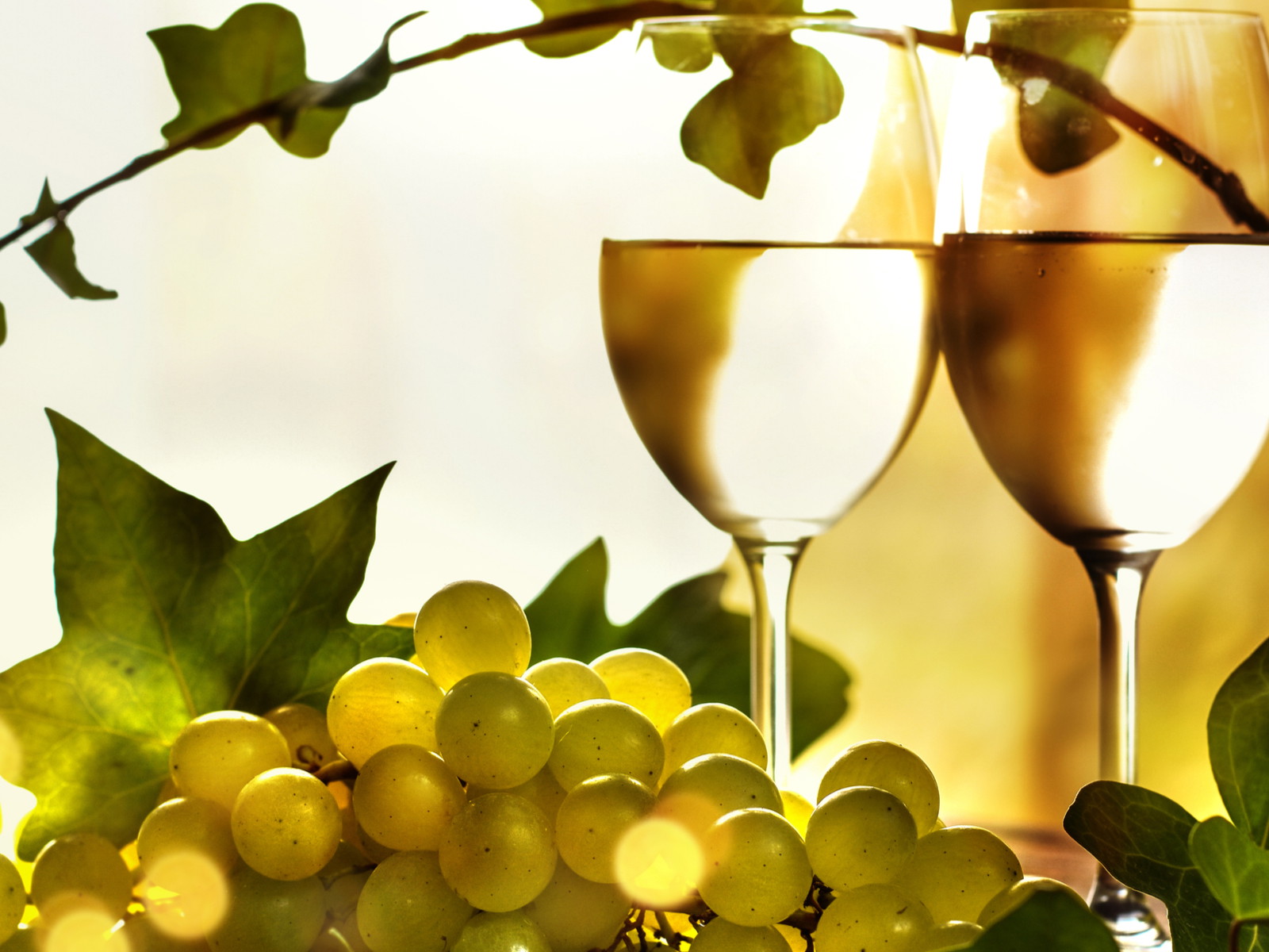 Sauvignon Blanc.