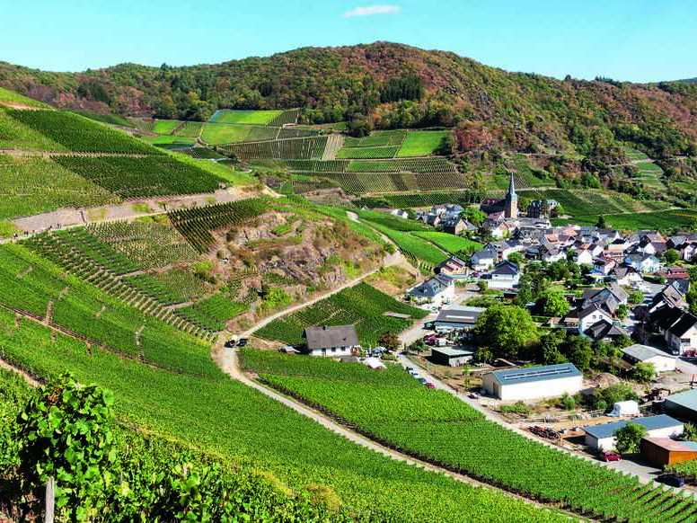 Der Rotwein-Sieger stammt aus dem Mayschoßer Mönchberg von der Ahr.&nbsp;