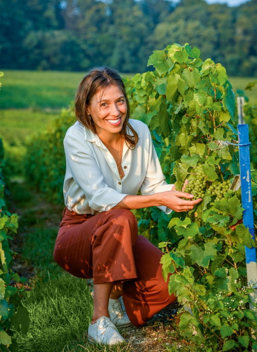 Lucie Pereyre de Nonancourt und das Champagnerhaus Laurent-Perrier setzen auf&nbsp; Nachhaltigkeit in den Reben (o.). Die limitierte Cuvée Rosé Butterfly Robe (u.) soll das versinnbildlichen.