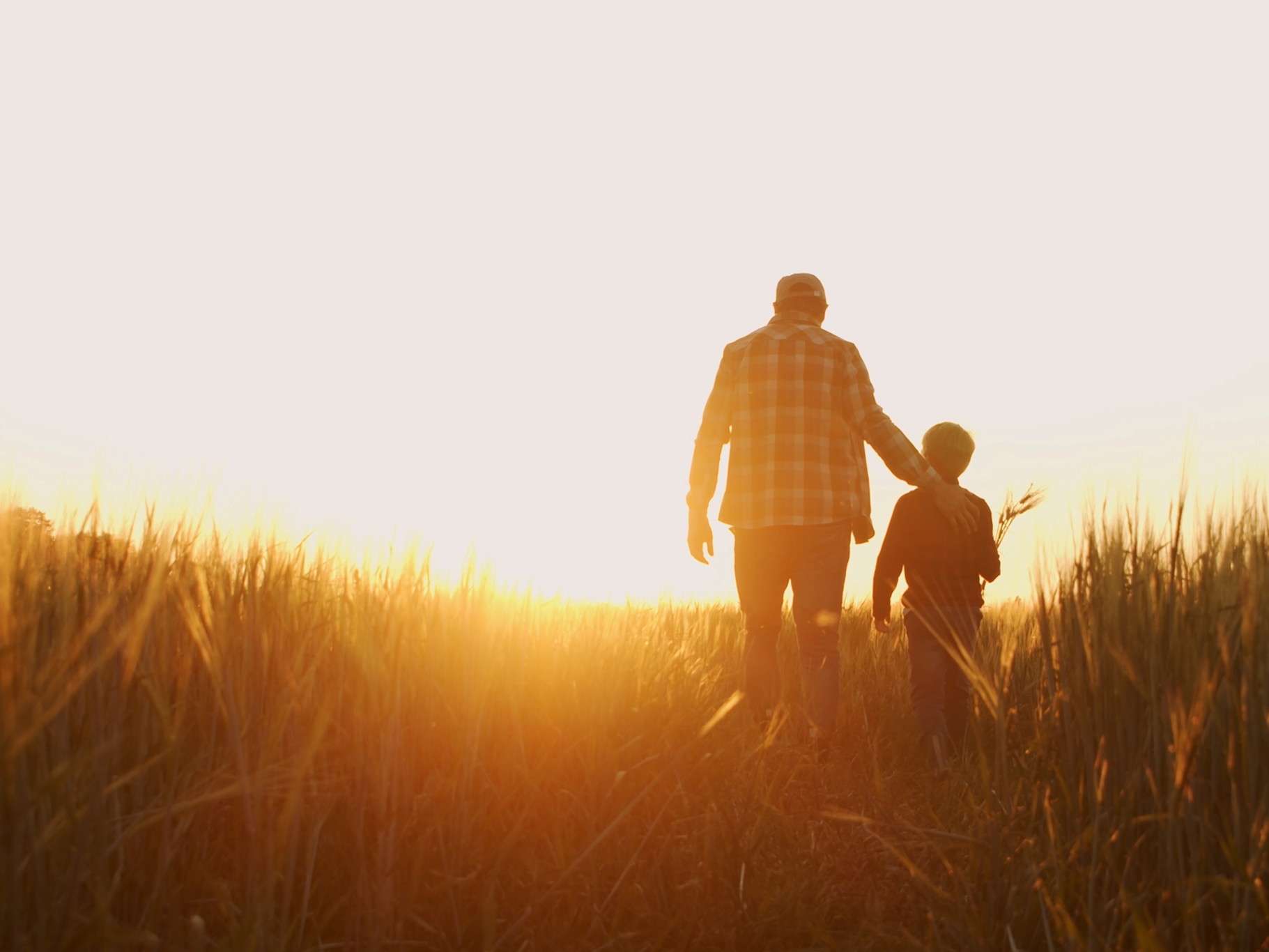 Family farmers occupy around 70 to 80 percent of farmland worldwide.