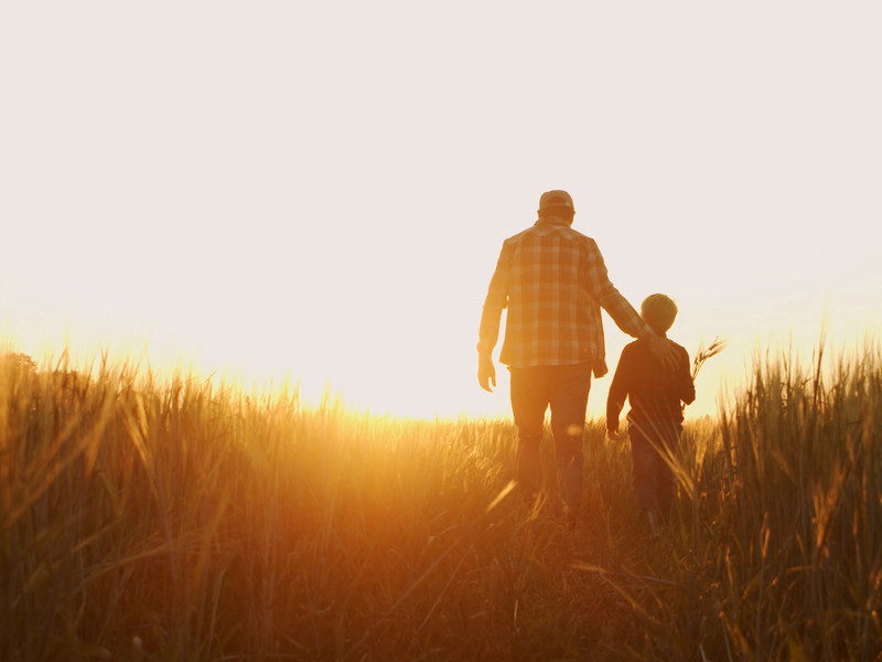 Family farmers occupy around 70 to 80 percent of farmland worldwide.