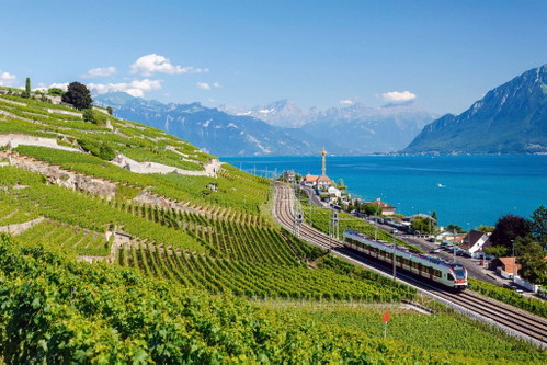 Paradiesische Bahnfahrt: Die Fahrt mit dem Zug an den Genfersee sollten Weinfreaks unbedingt einmal machen.