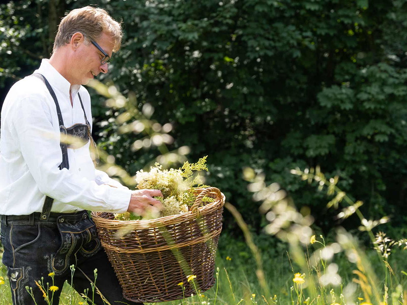 Braumeister Axel Kiesbye bei der Ernte des Echten Mädesüß.
