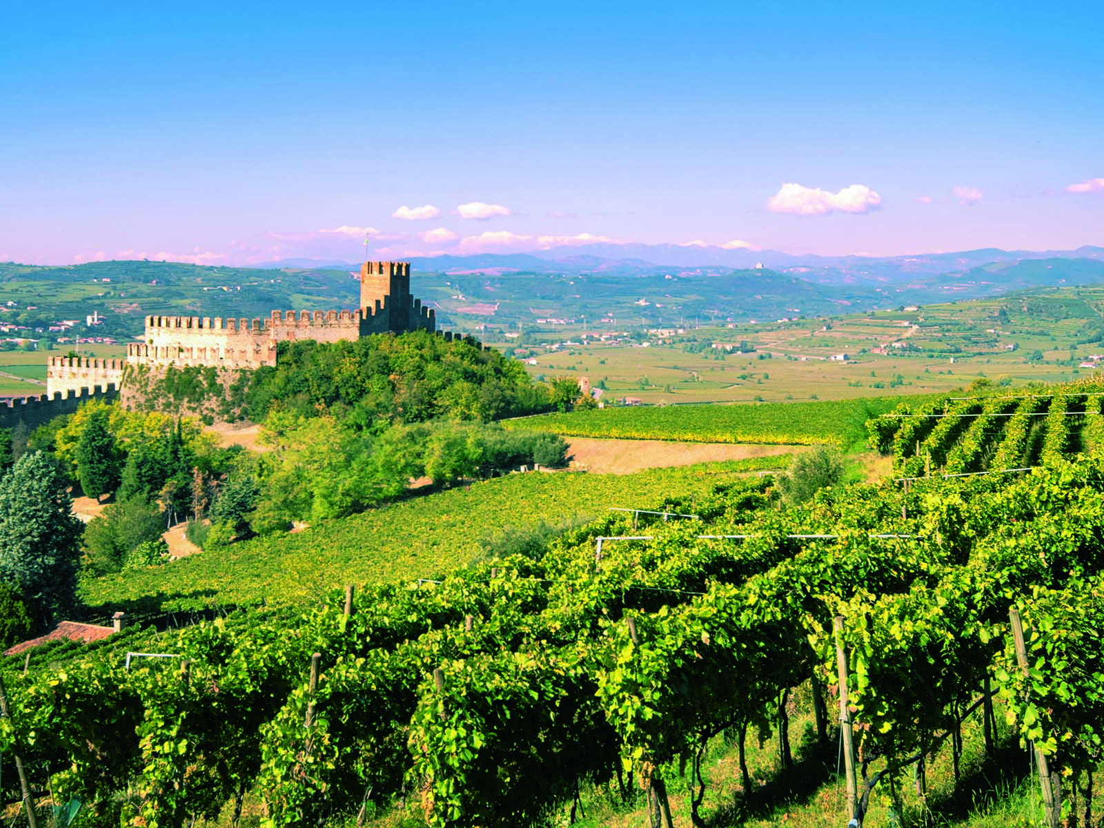 Die majestätische Burganlage von Soave dominiert Ortschaft&nbsp;und Weinberge.