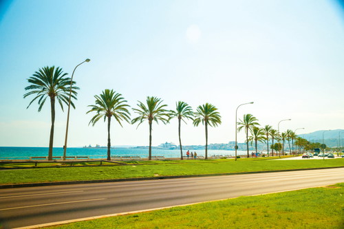 Palm trees everywhere you look: Majorca's capital city provides plenty of holiday vibes.