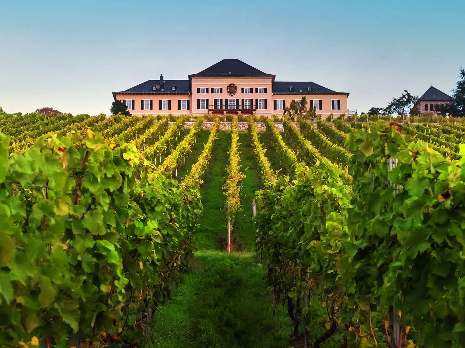 Thront auf einem Quarzit-Kegel, der geologisch gesehen ein Vorposten des Taunus ist: Schloss Johannisberg, umrundet von seinen Rieslingreben.