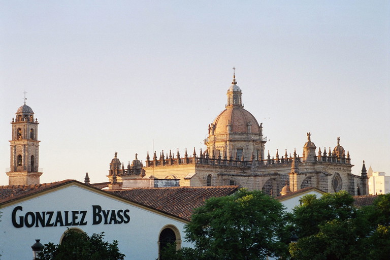 The enormous stylistic diversity of the different sherry varieties is both a curse and a blessing.