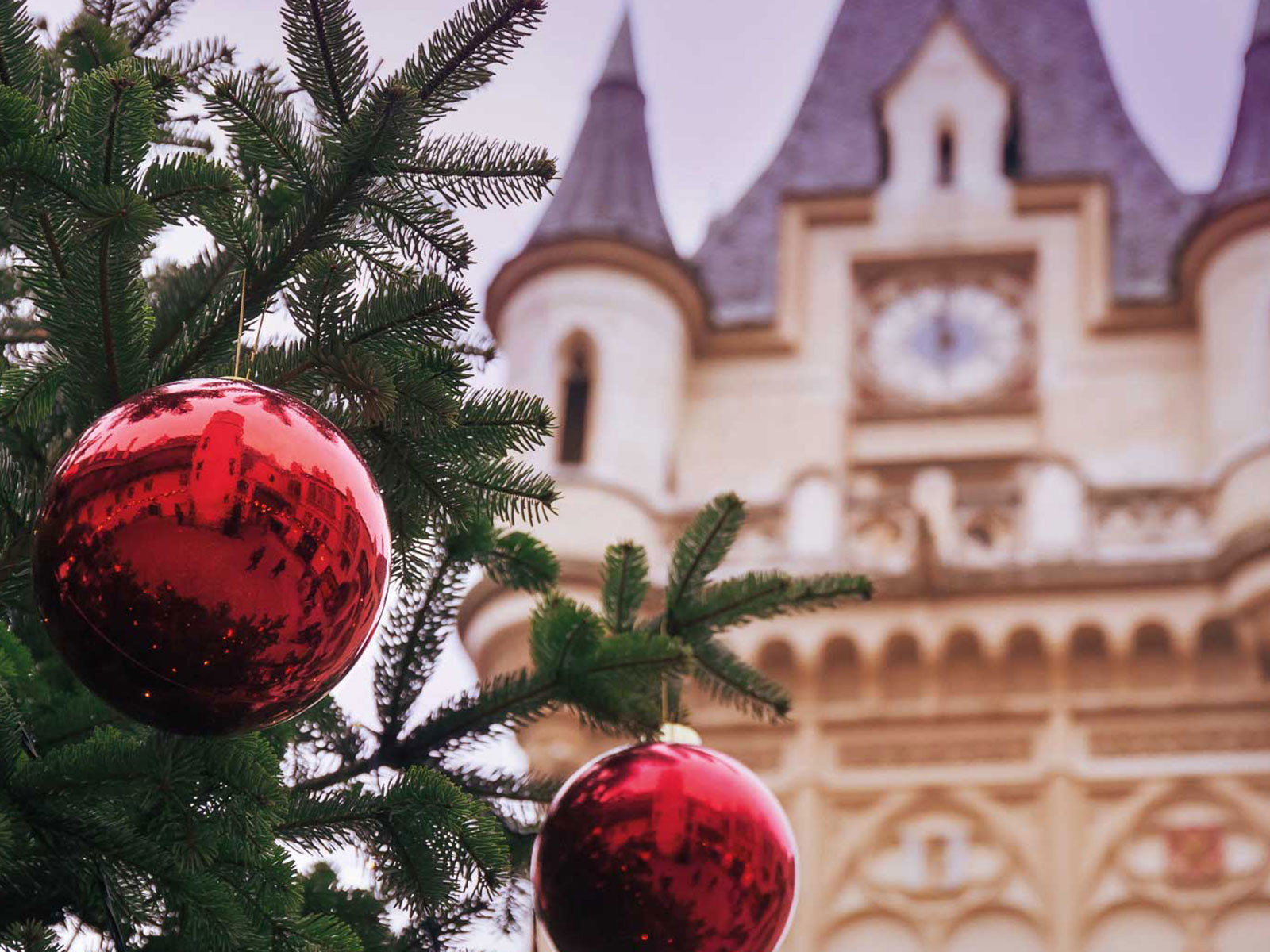 Der »Grafenegger Advent« ist heuer der beliebteste Adventmarkt in Niederösterreich.