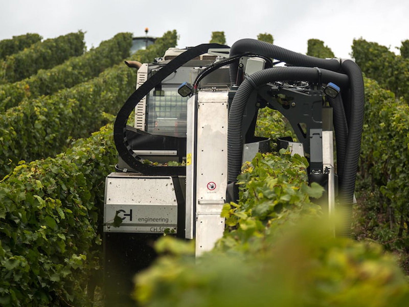 Der Steillagen-Vollernter CH 500 in Aktion.