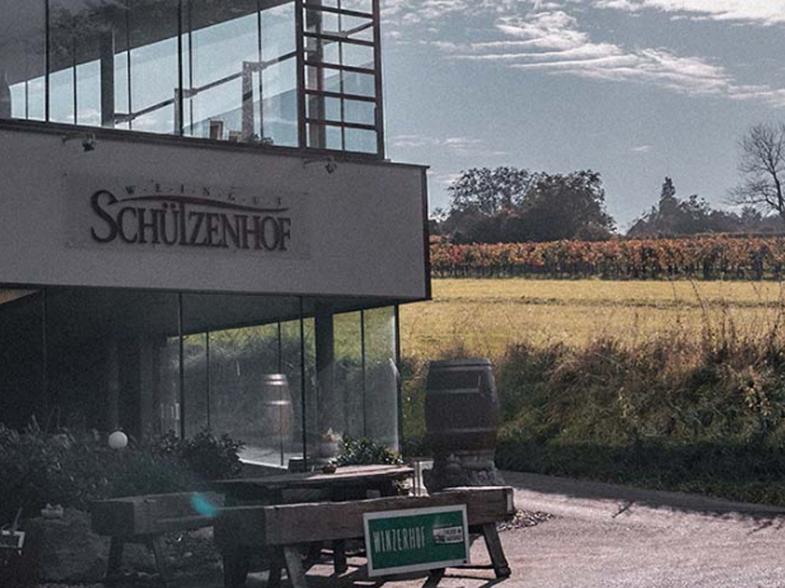 Für das »Weingut Schützenhof« wird ein Käufer gesucht.