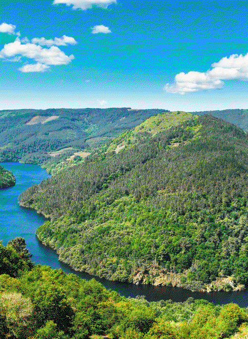 Ein atemberaubendes Naturerlebnis: die Ribeira Sacra, durch deren Schluchten sich der Fluss Sil schlängelt. Zugleich gilt die Region als ältestes Weinanbaugebiet Spaniens.