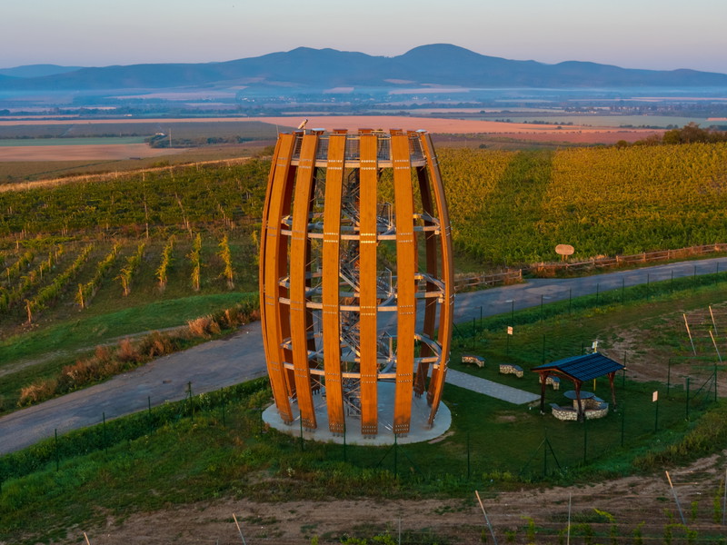 The lookout tower in the wine region of Tokaj, where Furmint grapes grow.