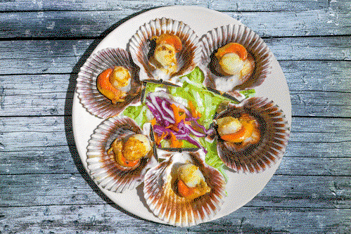 Der kühle Ozean bietet perfekte Bedingungen für Seafood wie die »zamburiñas«, kleine Jakobsmuscheln.