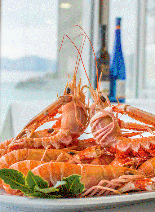 Prachtvoller Kaisergranat gehört zur galicischen »mariscada«.