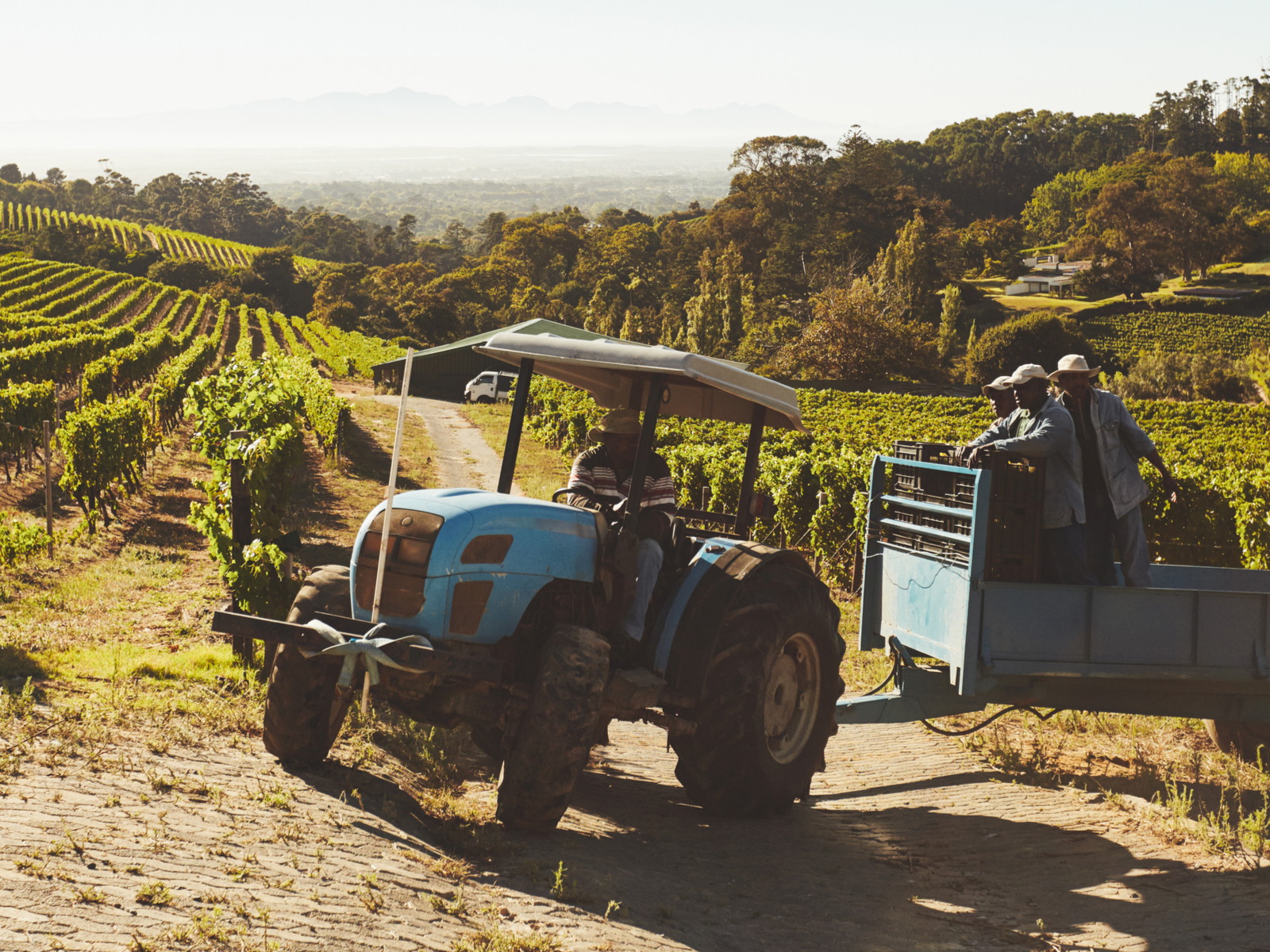 Wineries aren't immune from surging wages and input costs.